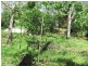 Lowmead QLD 4676