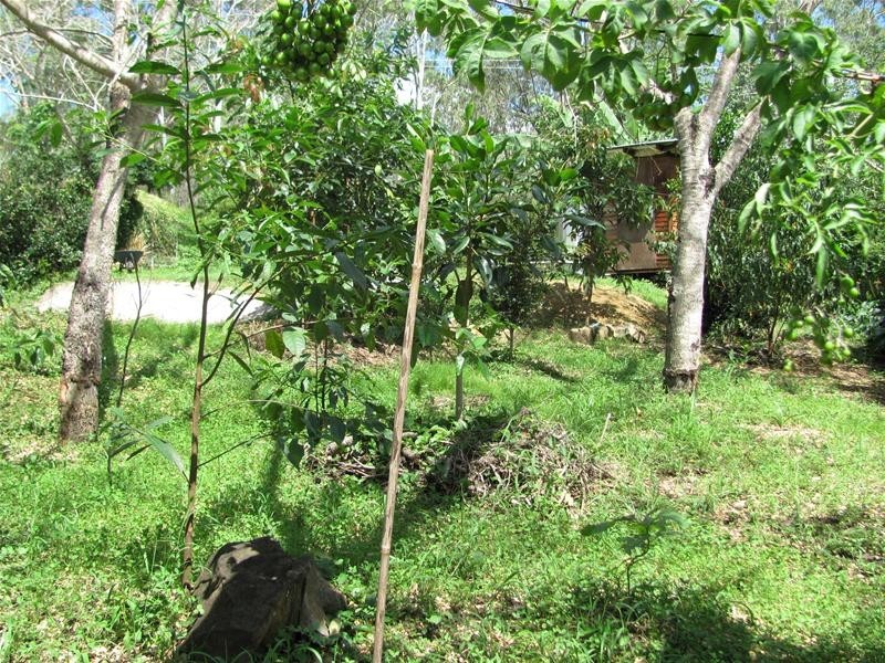 Lowmead QLD 4676