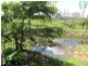 Lowmead QLD 4676