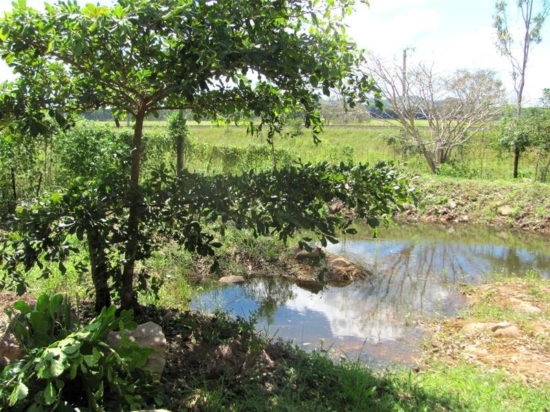 Lowmead QLD 4676