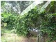 Lowmead QLD 4676