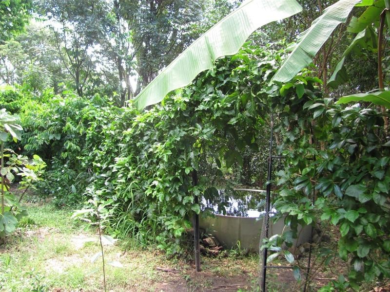 Lowmead QLD 4676