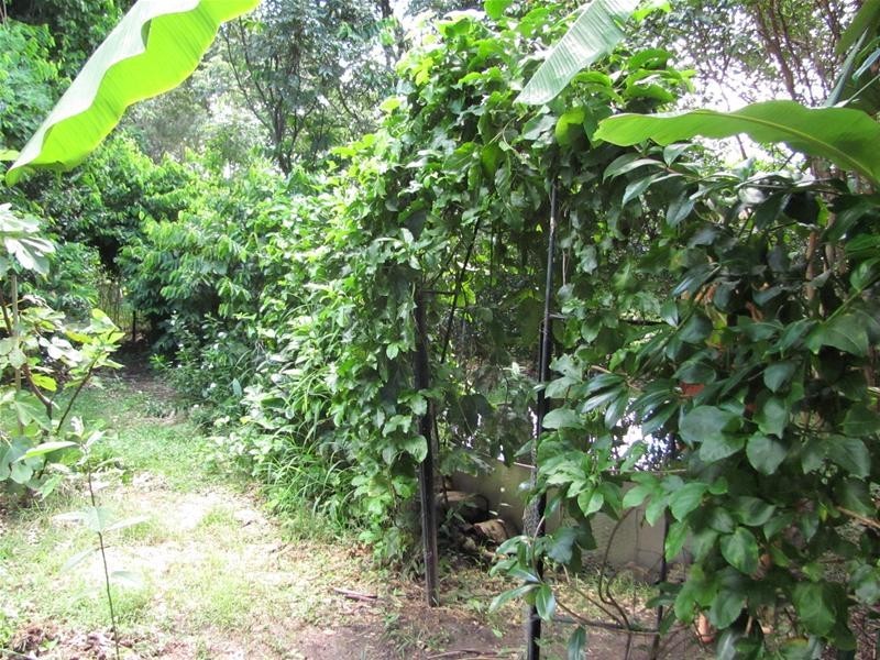 Lowmead QLD 4676