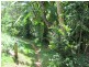 Lowmead QLD 4676