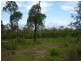 Mount Maria QLD 4674