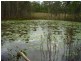 Mount Maria QLD 4674