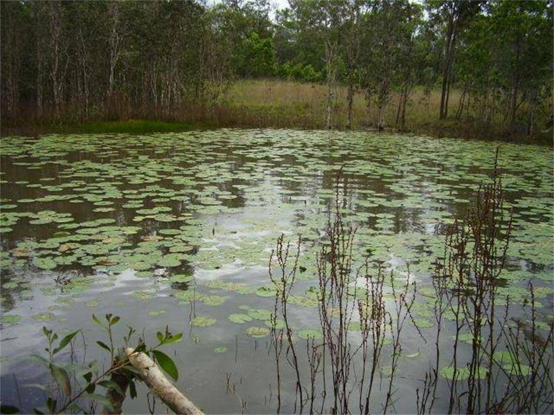 Mount Maria QLD 4674