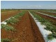 Woongarra QLD 4670