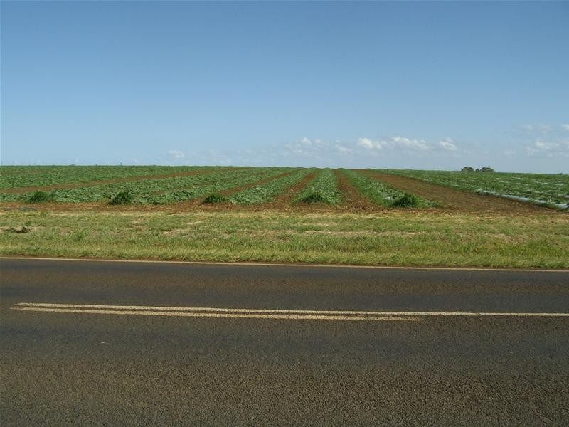 Woongarra QLD 4670