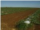 Woongarra QLD 4670