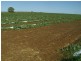Woongarra QLD 4670