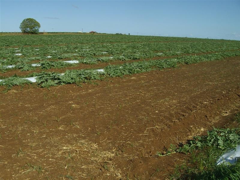 Woongarra QLD 4670