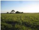 Woongarra QLD 4670