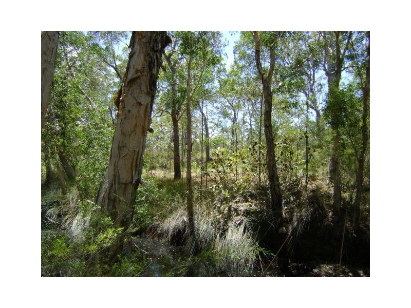 Baffle Creek QLD 4674