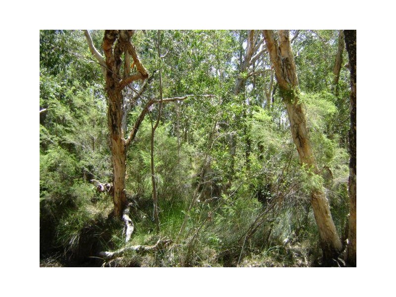 Baffle Creek QLD 4674