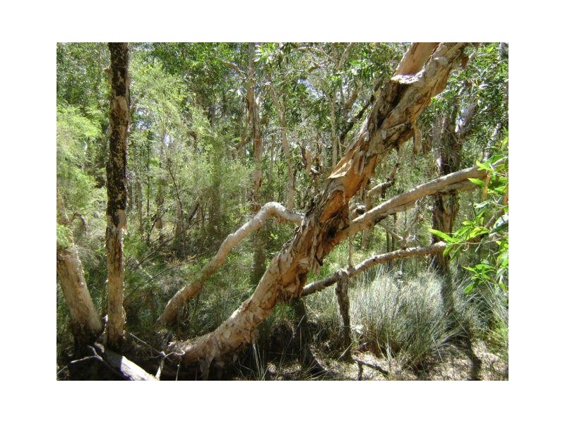 Baffle Creek QLD 4674