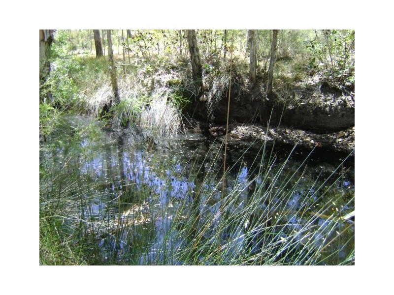 Baffle Creek QLD 4674