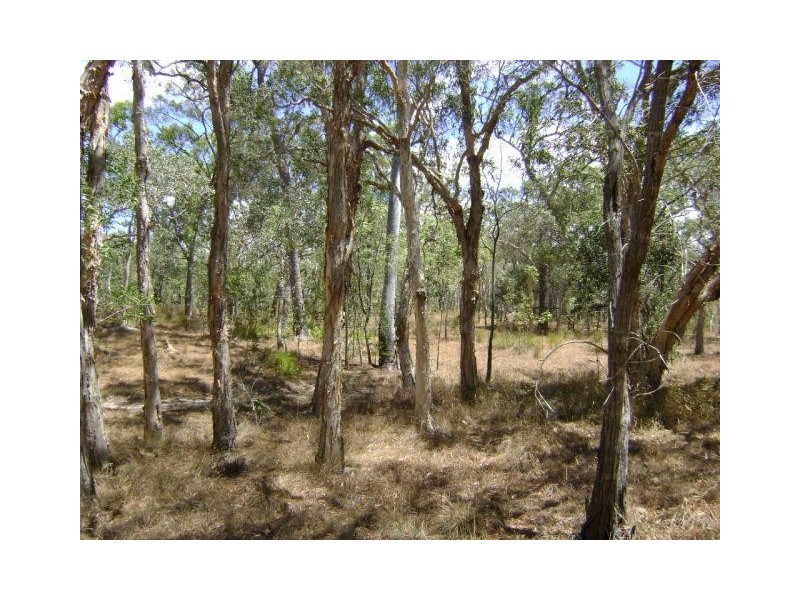 Baffle Creek QLD 4674