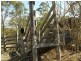 Horse Camp QLD 4671