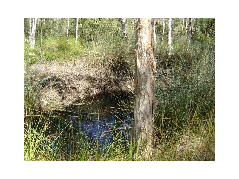 Baffle Creek QLD 4674