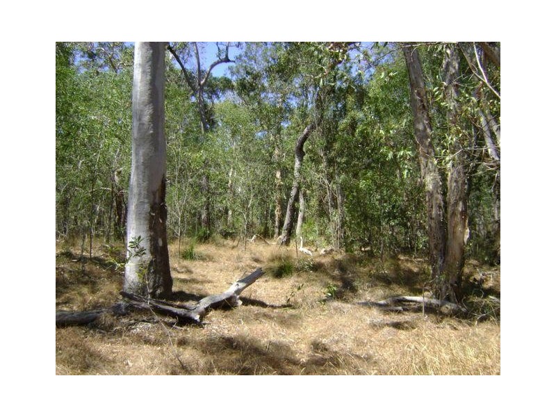 Baffle Creek QLD 4674