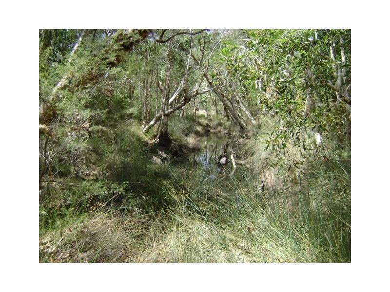 Baffle Creek QLD 4674