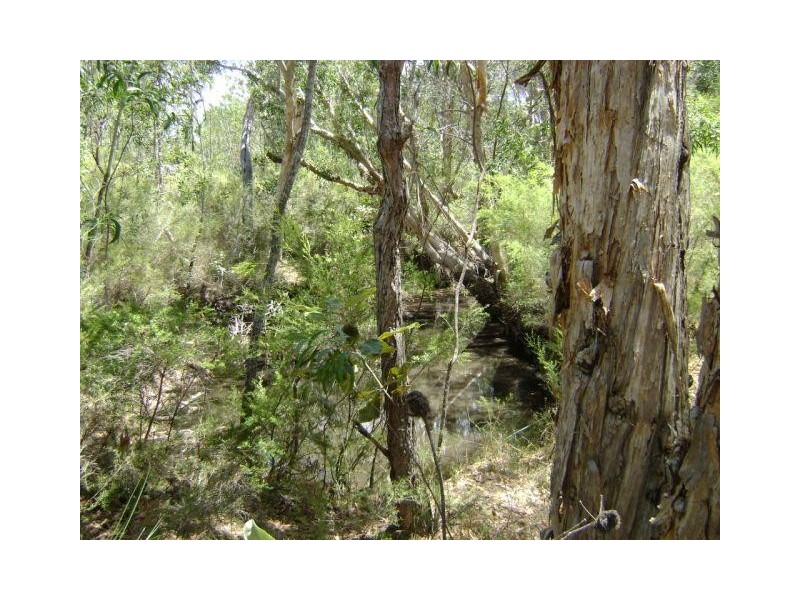 Baffle Creek QLD 4674