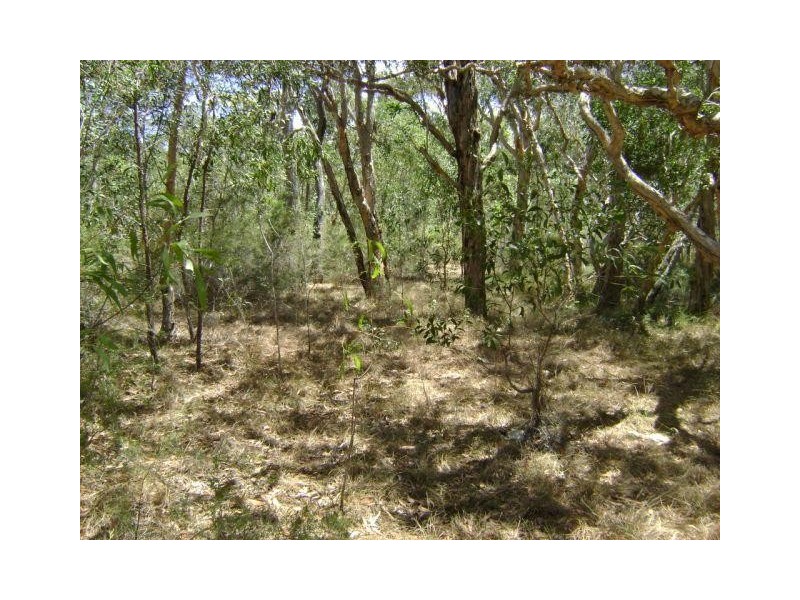 Baffle Creek QLD 4674