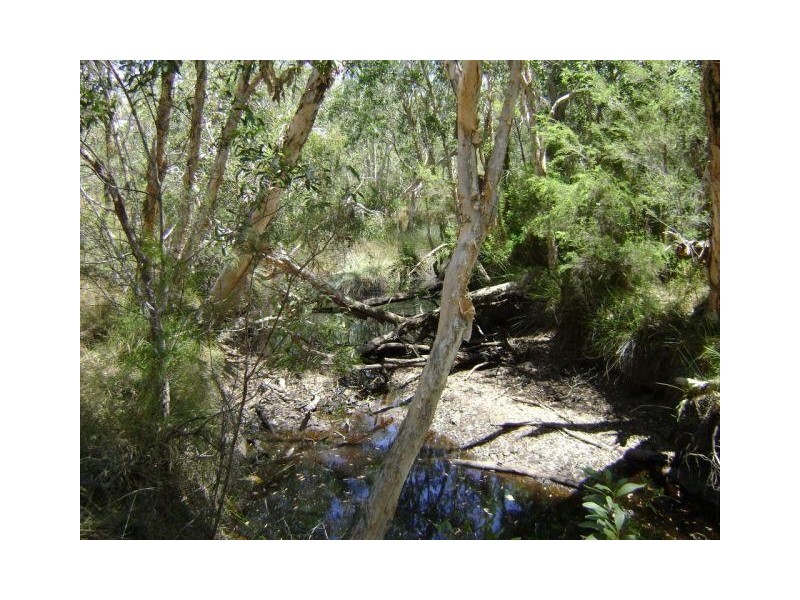 Baffle Creek QLD 4674