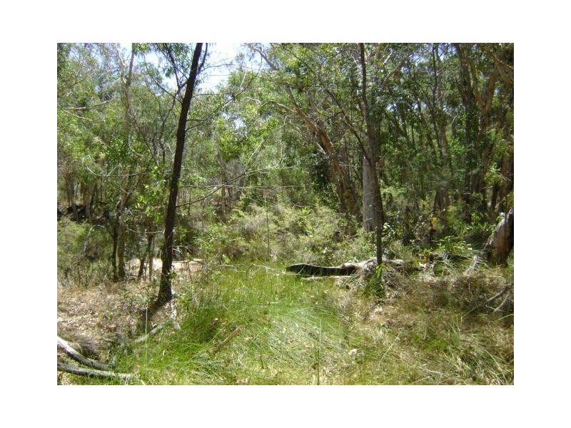 Baffle Creek QLD 4674