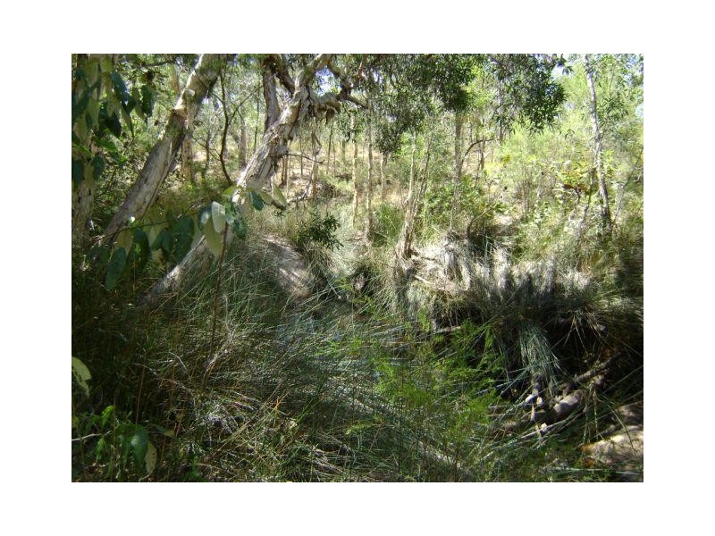 Baffle Creek QLD 4674