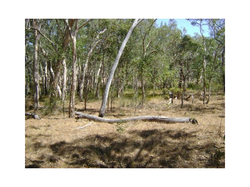 Baffle Creek QLD 4674