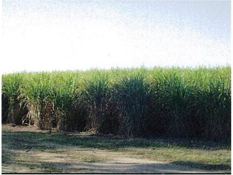 Yandaran QLD 4673