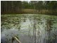 Mount Maria QLD 4674