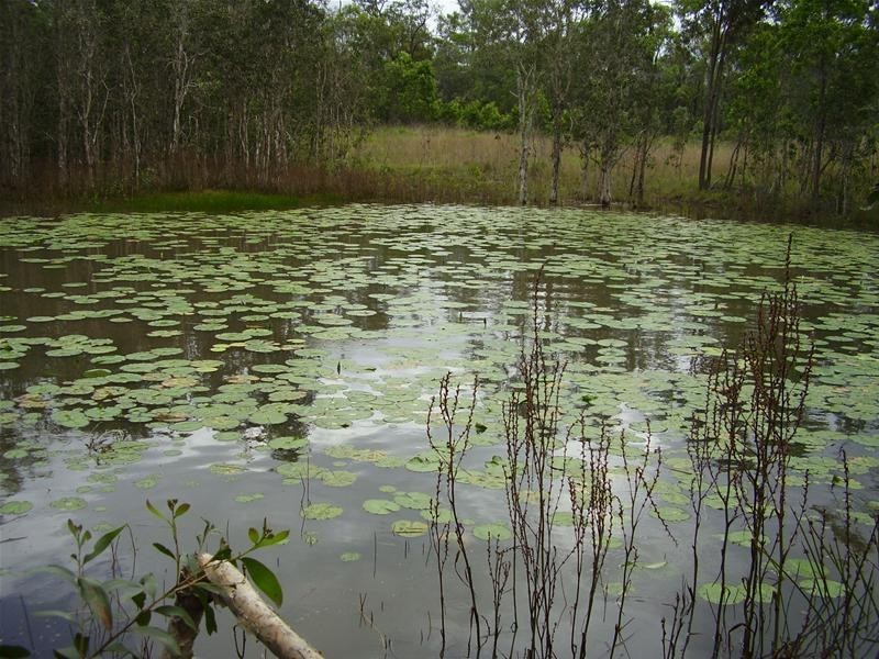 Mount Maria QLD 4674