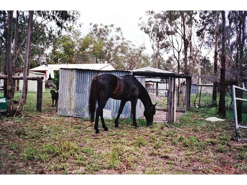 Apple Tree Creek QLD 4660