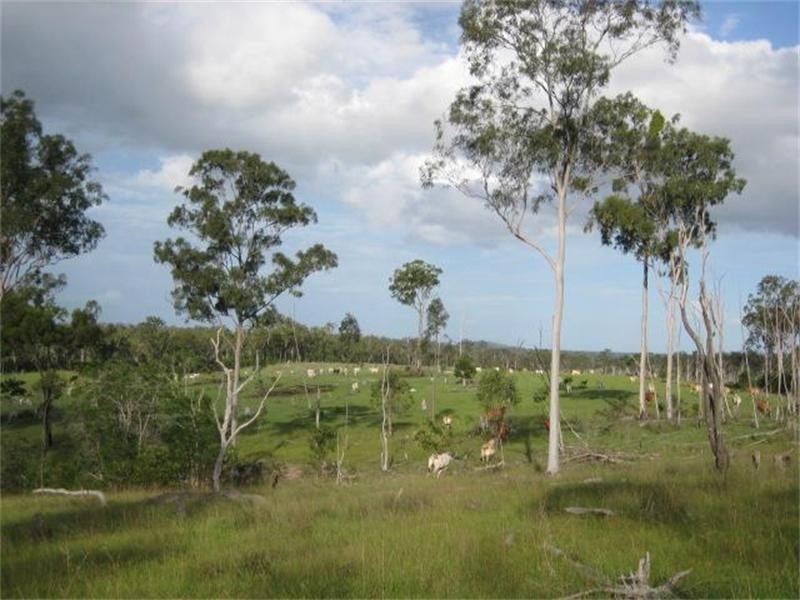 South Isis QLD 4660