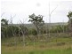 South Isis QLD 4660