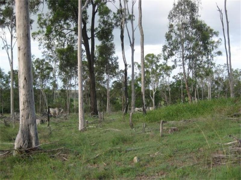 South Isis QLD 4660