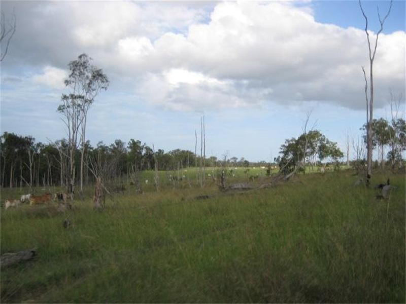 South Isis QLD 4660