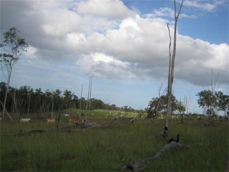 South Isis QLD 4660