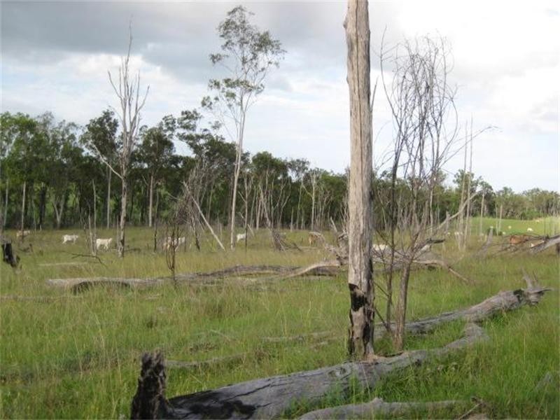 South Isis QLD 4660