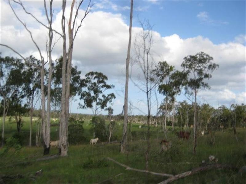 South Isis QLD 4660