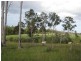 South Isis QLD 4660