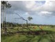 South Isis QLD 4660