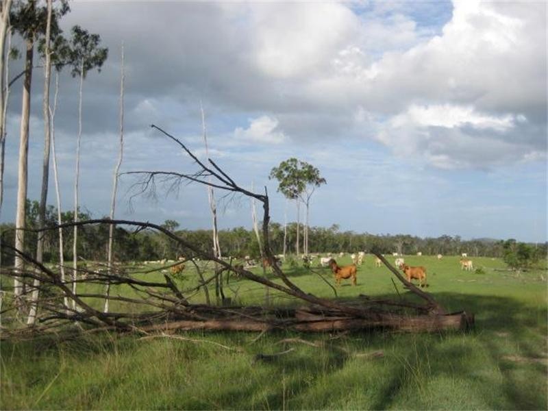 South Isis QLD 4660