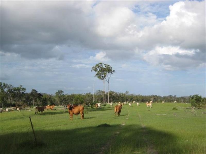 South Isis QLD 4660