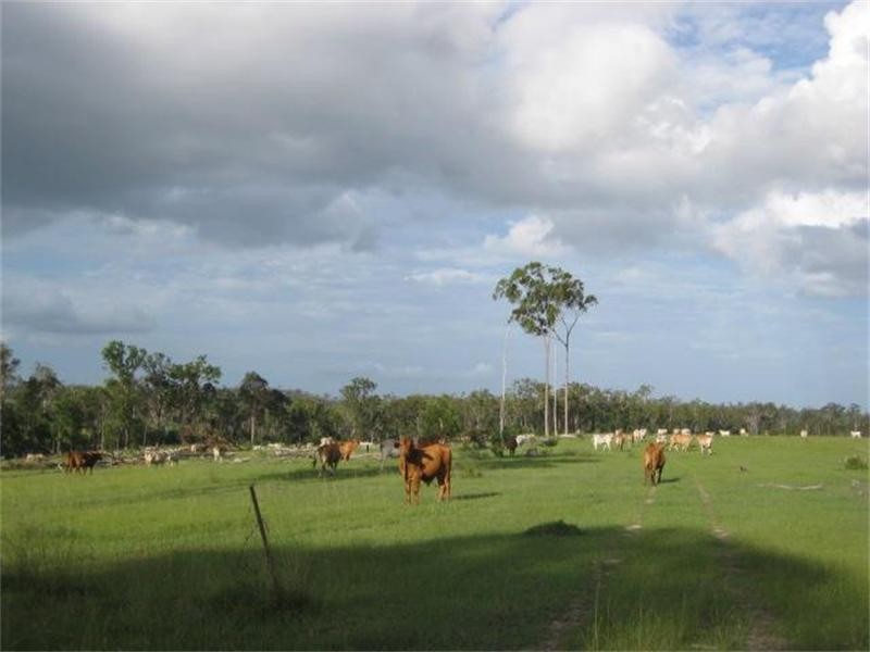 South Isis QLD 4660