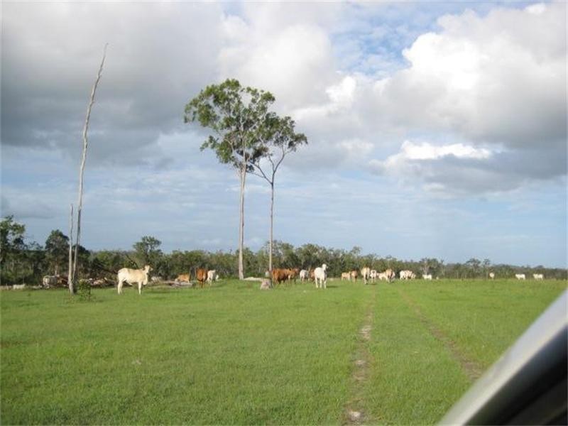 South Isis QLD 4660