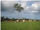 South Isis QLD 4660